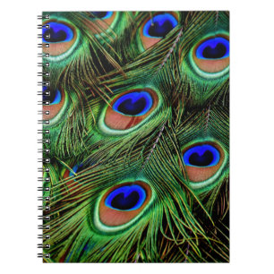 Cuaderno Plumas del pavo real