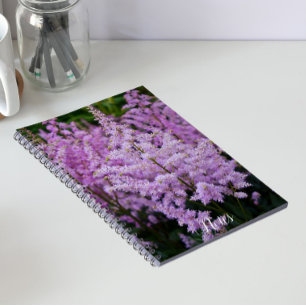 Cuaderno Plumas Florales de Astilbe Rosa Feathery