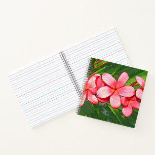 Cuaderno Plumerias