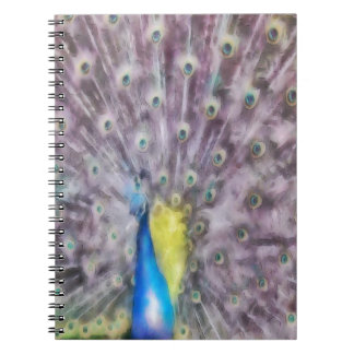 Cuaderno Plumín de acoplamiento de pavo real fino