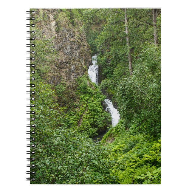 Cuaderno Plush Thunderbird Painterly (Frente)