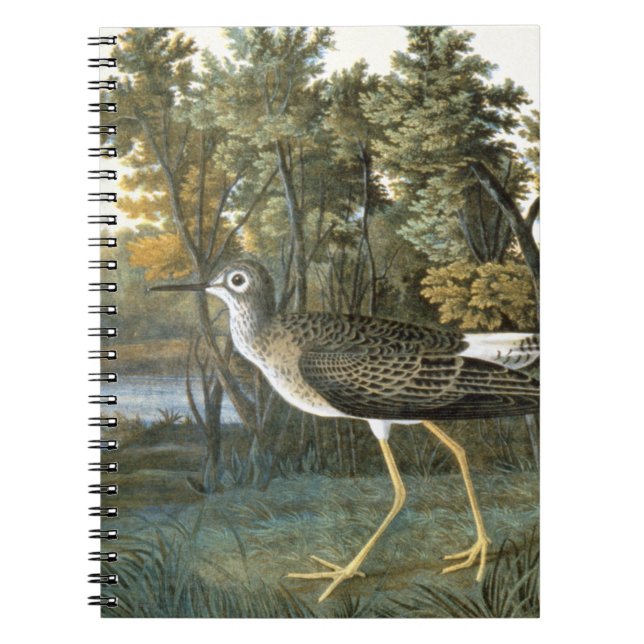 Cuaderno Poco Yellowlegs (Frente)
