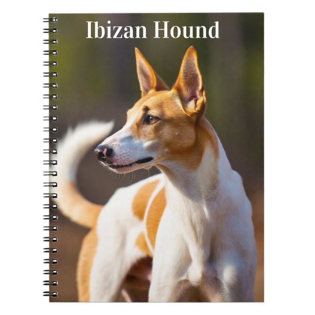 Cuaderno Podenco Ibicenco (Frente)