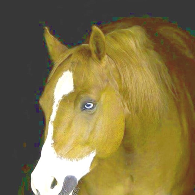 Cuaderno poder y gracia (Subido por el creador)