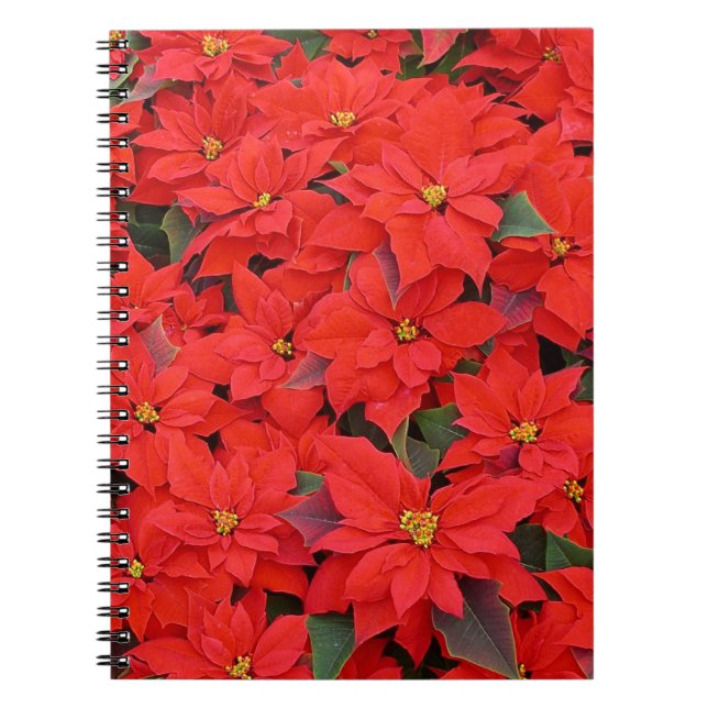 Cuaderno Poinsettias rojas Navidad la foto floral navideña (Frente)