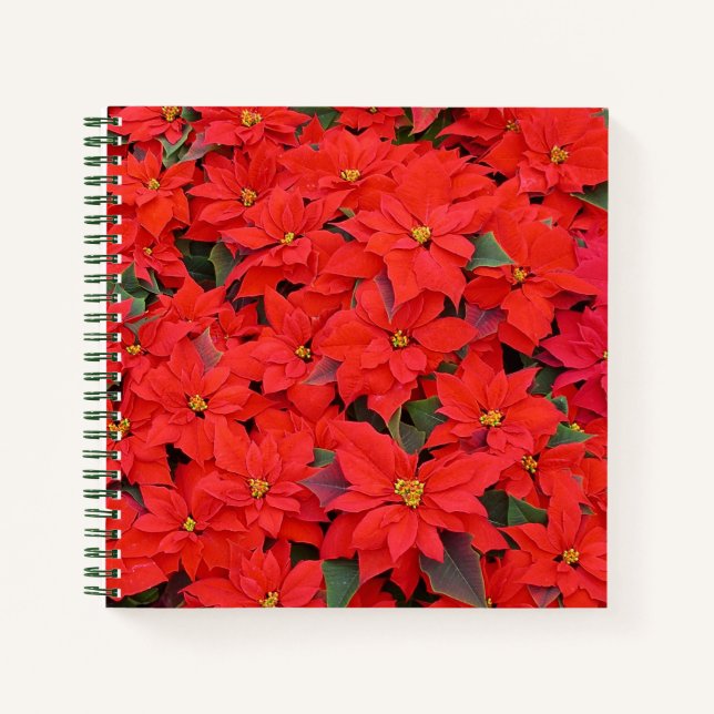 Cuaderno Poinsettias rojas Navidad la foto floral navideña (Anverso)