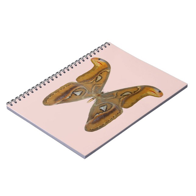 Cuaderno Polilla Atlas (Lado Izquierdo)