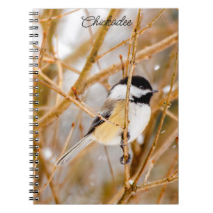 Cuaderno Pollito de punta negra - Fotografía original