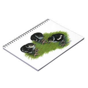 Cuaderno Pollitos de faisán negros