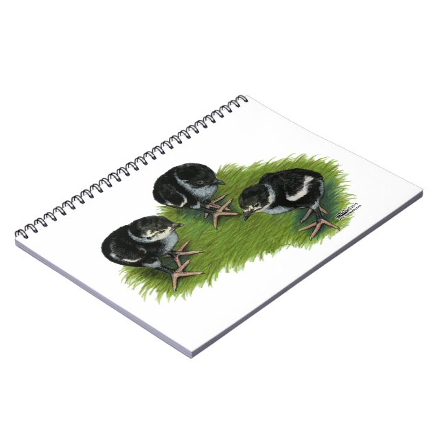 Cuaderno Pollitos de faisán negros (Lado Izquierdo)