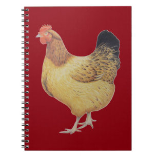 Cuaderno Pollo 2012