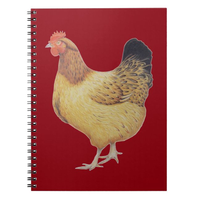 Cuaderno Pollo 2012 (Frente)