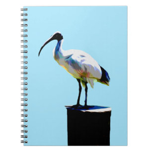 Cuaderno Pollo Bin, (Ibis) Pintura de aceite,