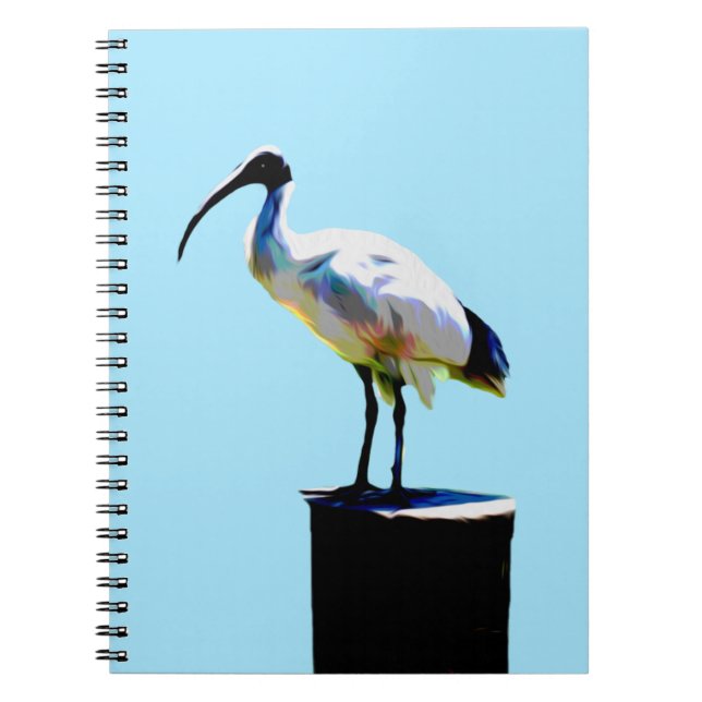 Cuaderno Pollo Bin, (Ibis) Pintura de aceite, (Frente)