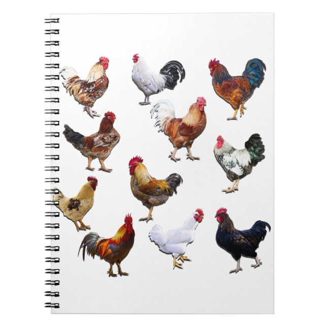 Cuaderno Pollo de color de gallo (Frente)