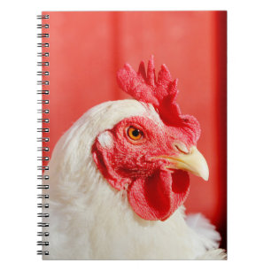 Cuaderno Pollo de granja