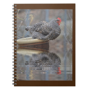 Cuaderno Pollo En La Mariposa