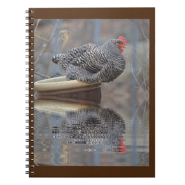 Cuaderno Pollo En La Mariposa (Frente)