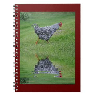 Cuaderno Pollo en tira
