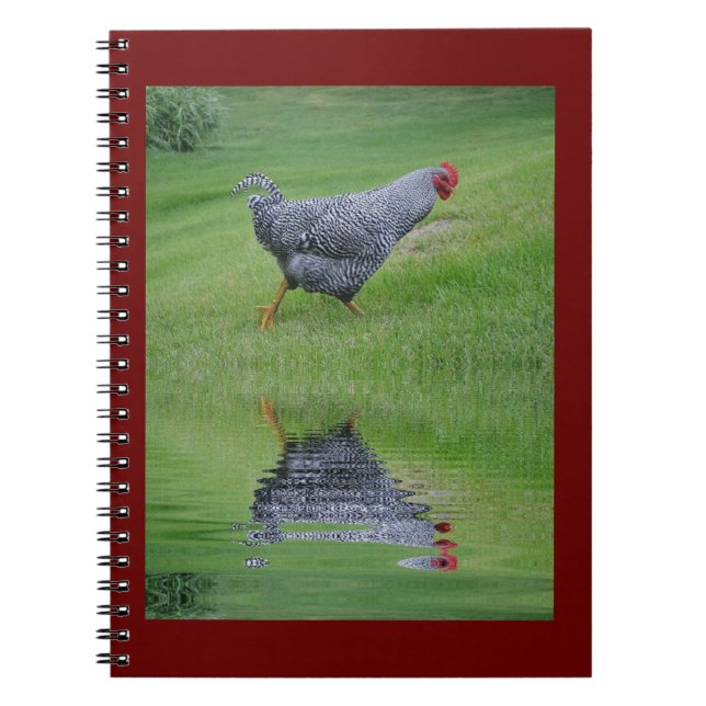 Cuaderno Pollo en tira (Frente)
