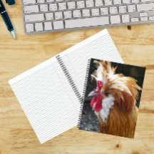 Pollo polaco rojo y blanco