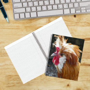 Cuaderno Pollo polaco rojo y blanco