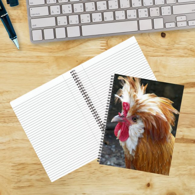 Cuaderno Pollo polaco rojo y blanco (In Situ)