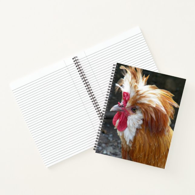 Cuaderno Pollo polaco rojo y blanco (Interior)