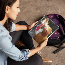 Pollo rojo y blanco polaco