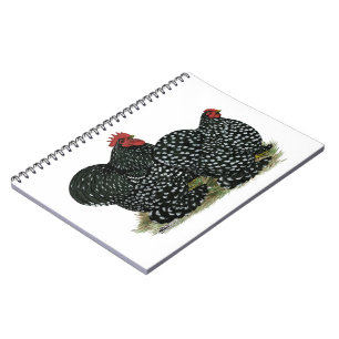 Cuaderno Pollos con motor Cochin