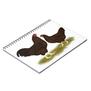Cuaderno Pollos de Buckeye