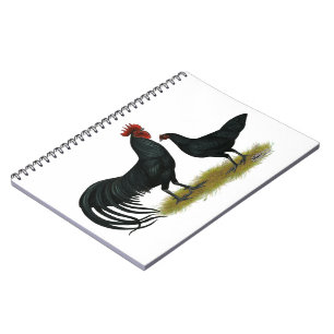 Cuaderno Pollos de cultivo Tomaru Long