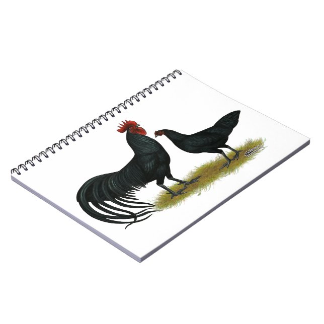 Cuaderno Pollos de cultivo Tomaru Long (Lado Izquierdo)