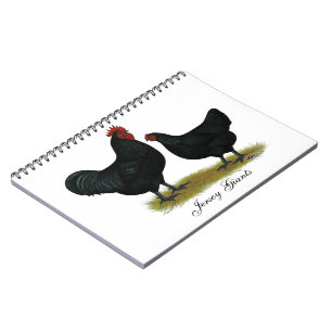 Cuaderno Pollos de Jersey Giant