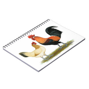 Cuaderno Pollos de Penedesenca