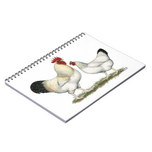 Cuaderno Pollos del río Indio