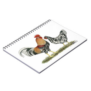 Cuaderno Pollos islandeses
