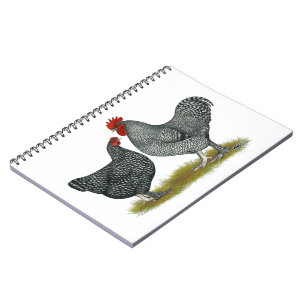Cuaderno Pollos malinos