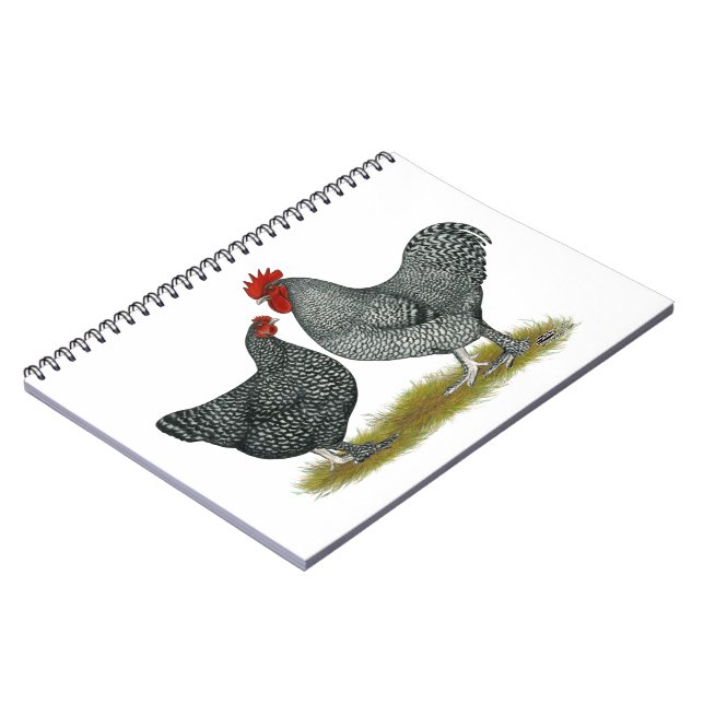 Cuaderno Pollos malinos (Lado Izquierdo)
