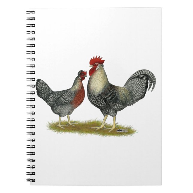 Cuaderno Pollos poner crema de Legbar (Frente)