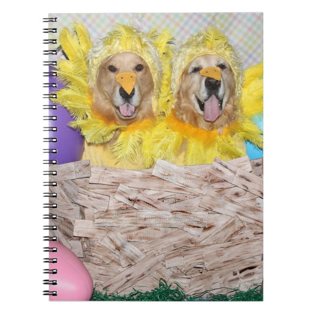 Cuaderno Polluelos del golden retriever en una jerarquía (Frente)