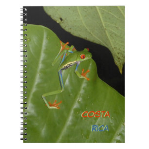 Cuaderno Polvo De Rana Gaudy Oído Rojo. Bloc de notas de te