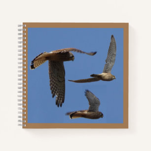 Cuaderno Polvo fotográfico de aves Kestrel. Bloc de notas d