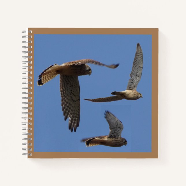 Cuaderno Polvo fotográfico de aves Kestrel. Bloc de notas d (Anverso)
