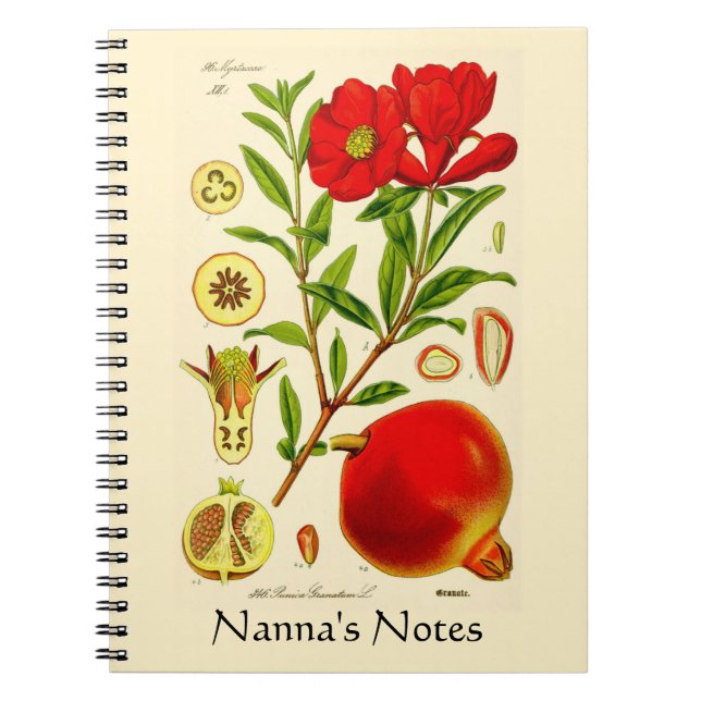 Cuaderno Pomegranato (Frente)