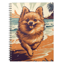 Cuaderno Pomerania en la playa