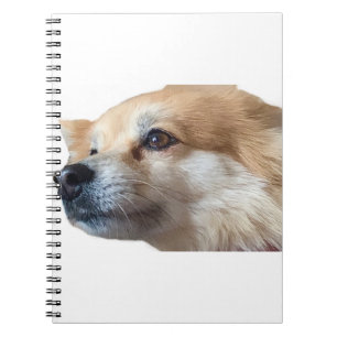 Cuaderno Pomerania Perro Puppy Pommy Pommie Mascota