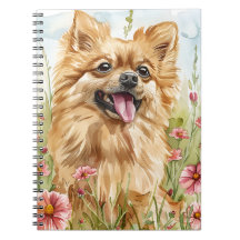 Pomeranian Journal – Dog Mom Notes