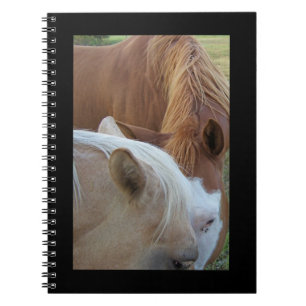 Cuaderno Ponies Notebook