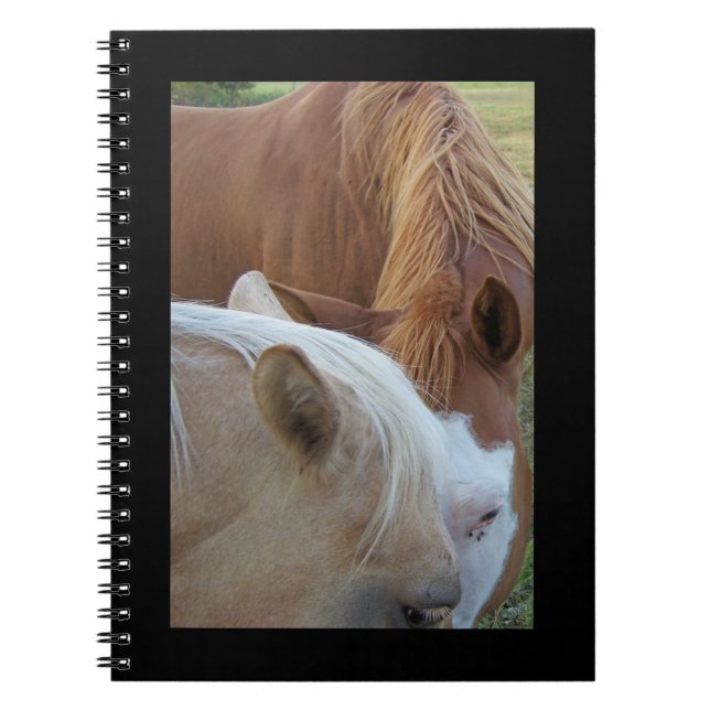 Cuaderno Ponies Notebook (Frente)